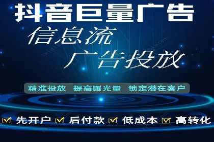 行业领先企业背后的信息流代运营案例